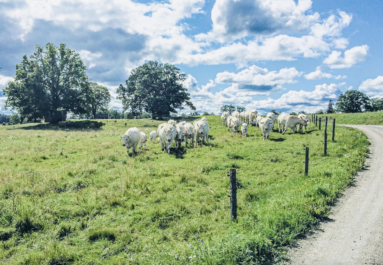 Ferienhaus in Rydaholm - Schönes Ferienhaus in Hjälmsänga in der Nähe des Sees | SE07001