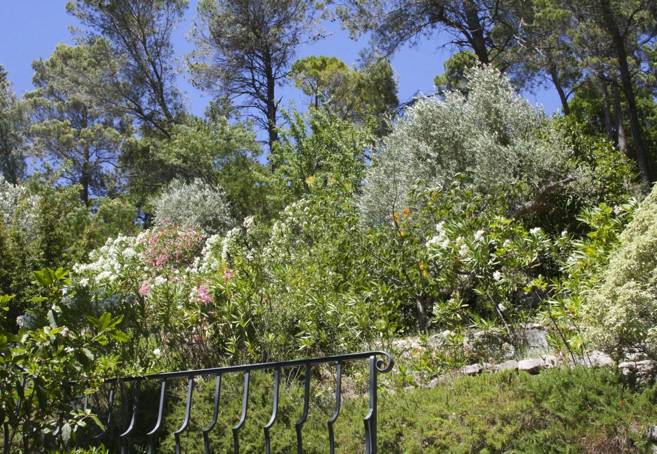 Villa in Callian - Villa Lauriers - Etoiles du Sud