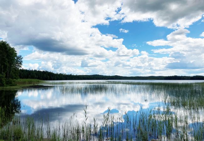 Ferienhaus in Månsarp - Schönes Ferienhaus in privater Lage in Rasjö, Månsarp | SE07002