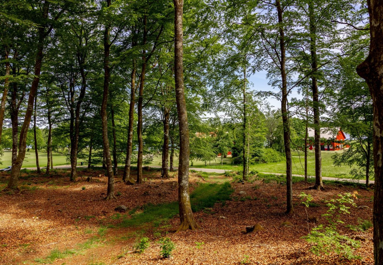 Ferienhaus in Lidhult - Ferienhaus mit traumhafter Seelage und Panoramablick auf den Bolmensee | SE06006