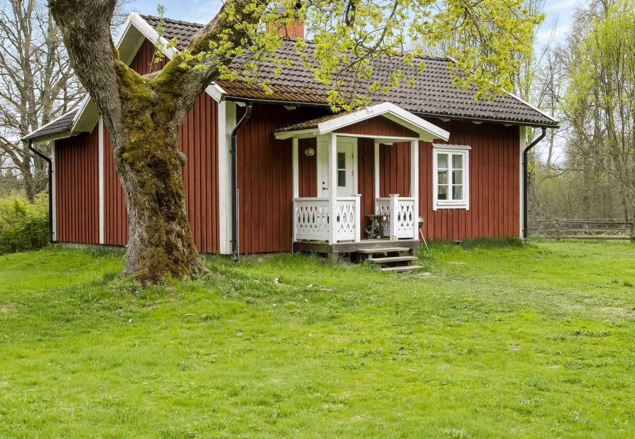 Ferienhaus in Ryssby - Gemütliches Ferienhaus in Ryssby, umgeben von Natur | SE06007