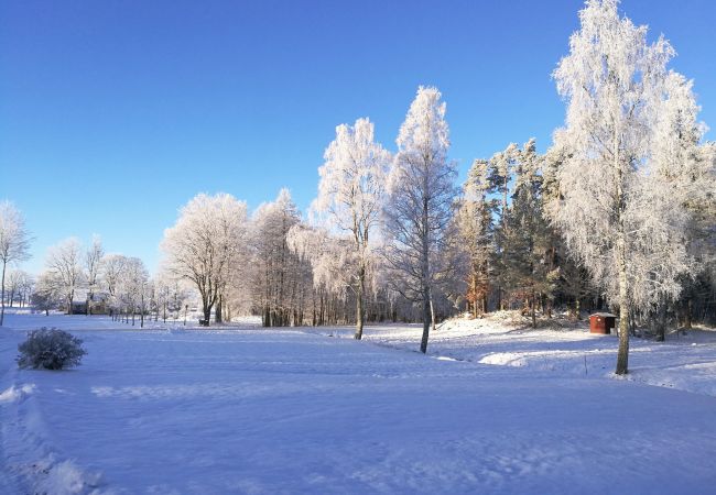 Ferienhaus in Rydaholm - Ferienhaus in traumhafter Lage und 300 m zum eigenen Seeufer | SE07003