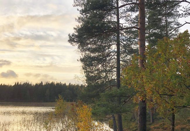 Ferienhaus in Lidhult - Schönes Ferienhaus in Grimshult in der Nähe von Lidhult in Småland | SE06009 