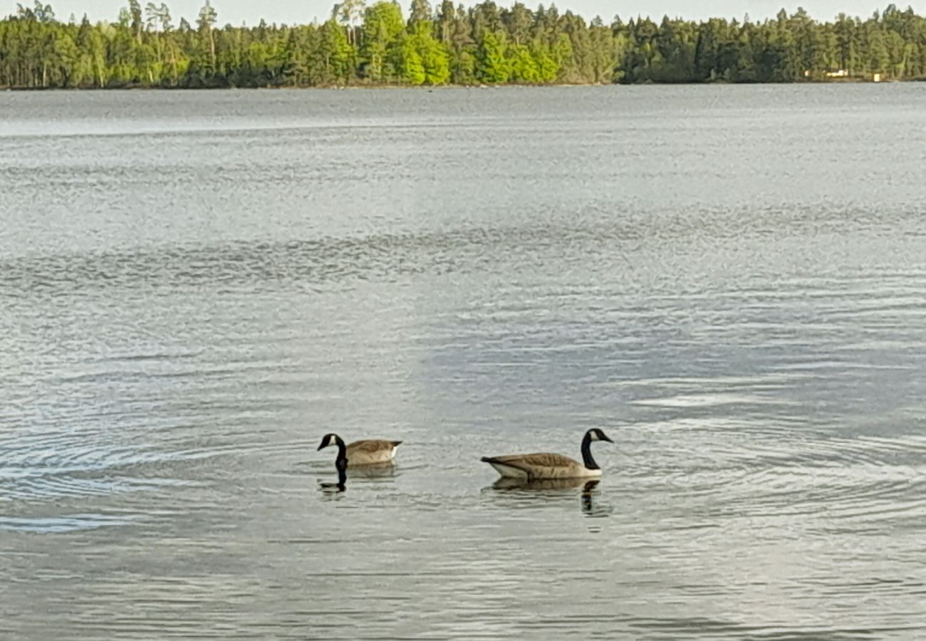 Ferienhaus in Ryd - Gemütliches Ferienhaus, 500 m vom See und Ruderboot