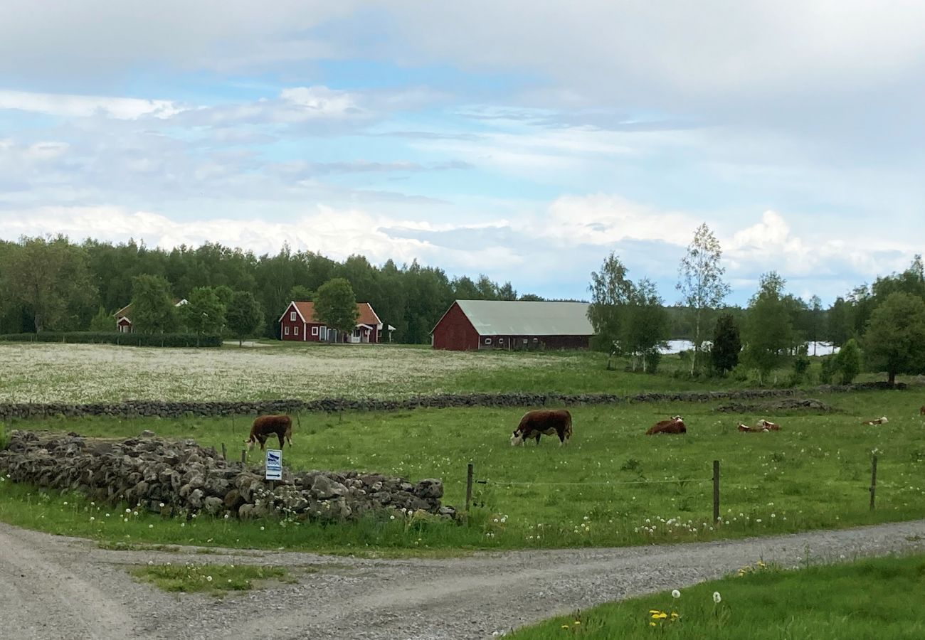 Ferienhaus in Vittaryd - Schönes Ferienhaus im Dorf Flattinge, 9,5 km von Lagan mit Aussicht über den Flåren  