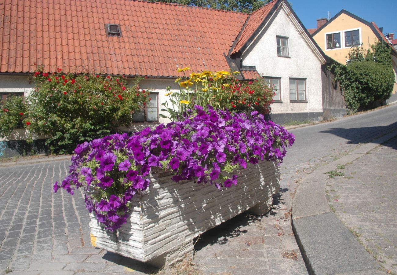 Ferienhaus in Tingstäde - Ferienhaus auf Gotland | SE12004