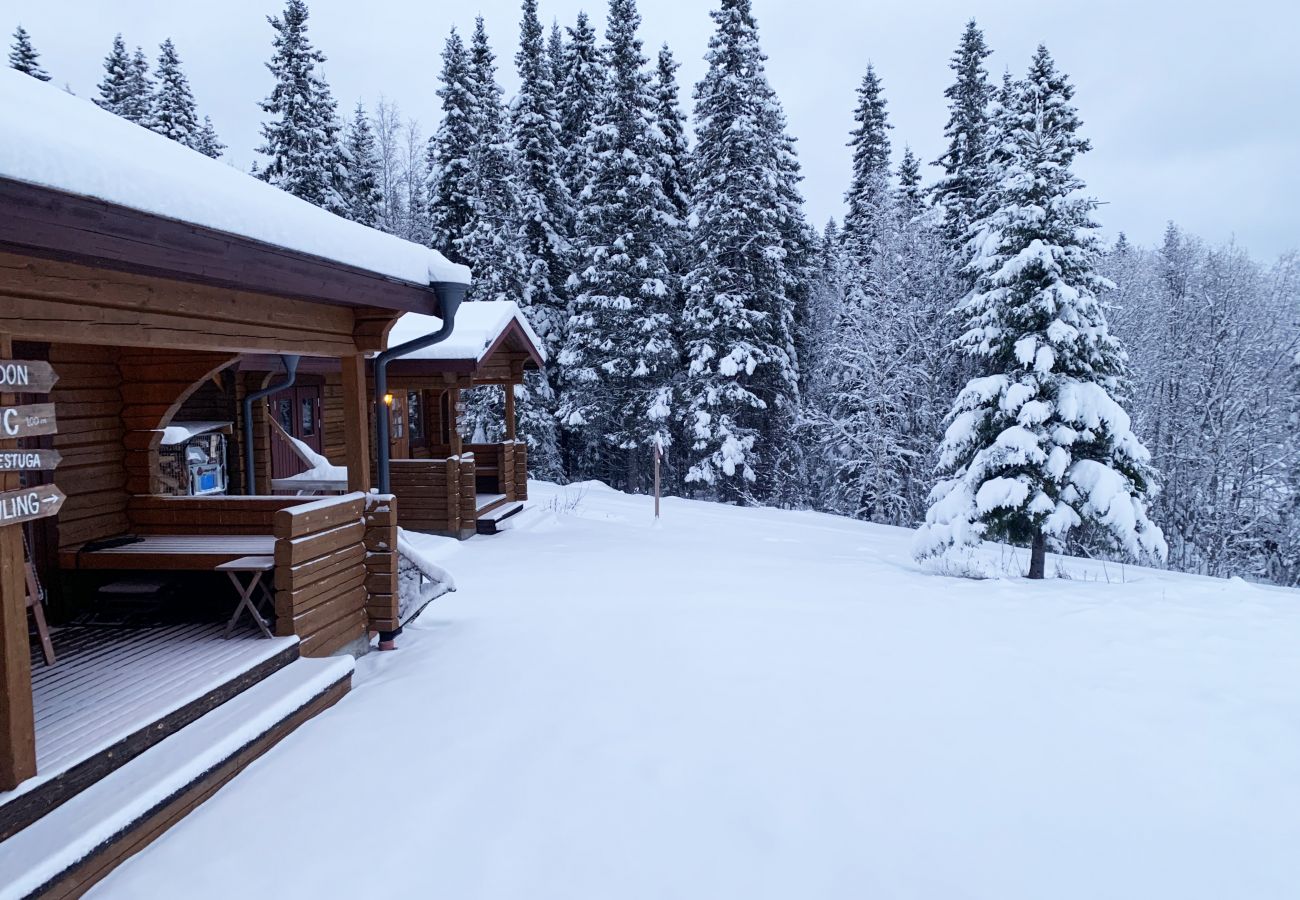 Ferienhaus in Undersåker - Blockhaus in Edsåsdalen, mitten in der Bergwelt und in der Nähe von Åre | SE21001