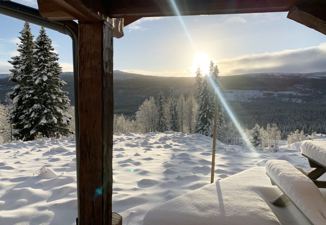 Ferienhaus in Undersåker - Blockhaus in Edsåsdalen, mitten in der Bergwelt und in der Nähe von Åre | SE21001