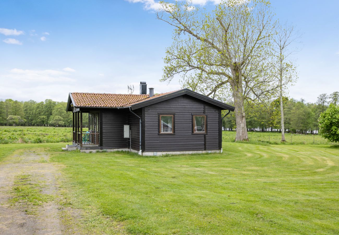 Haus in Ljungby - Ferienhaus am See Bolmen außerhalb von Ljungby | SE06038