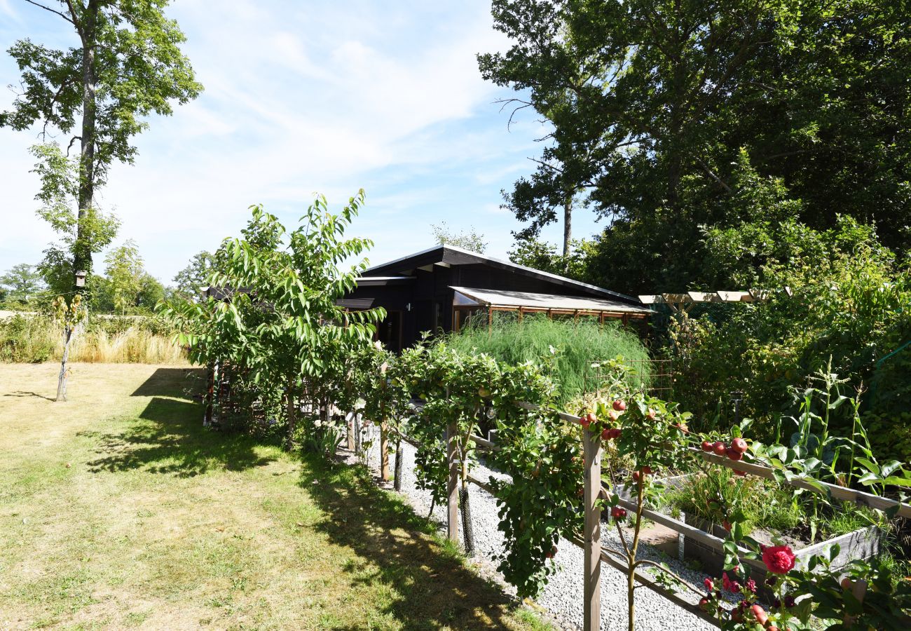 Studio in Löttorp - Gemütliches Ferienhaus auf Öland | SE04010