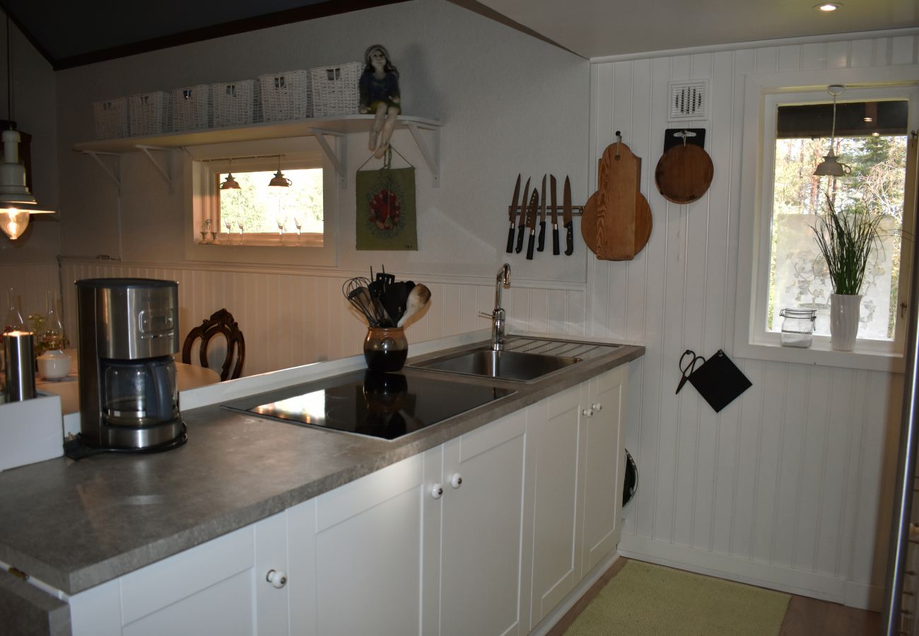 Ferienhaus in Tidaholm - Schönes Ferienhaus im Naturschutzgebiet Hökensås | SE08070