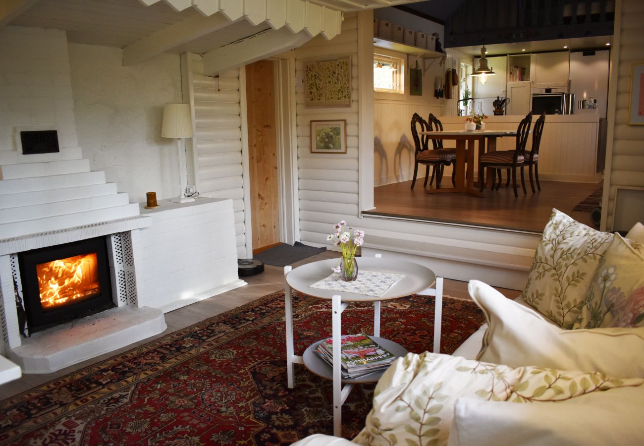 Ferienhaus in Tidaholm - Schönes Ferienhaus im Naturschutzgebiet Hökensås | SE08070