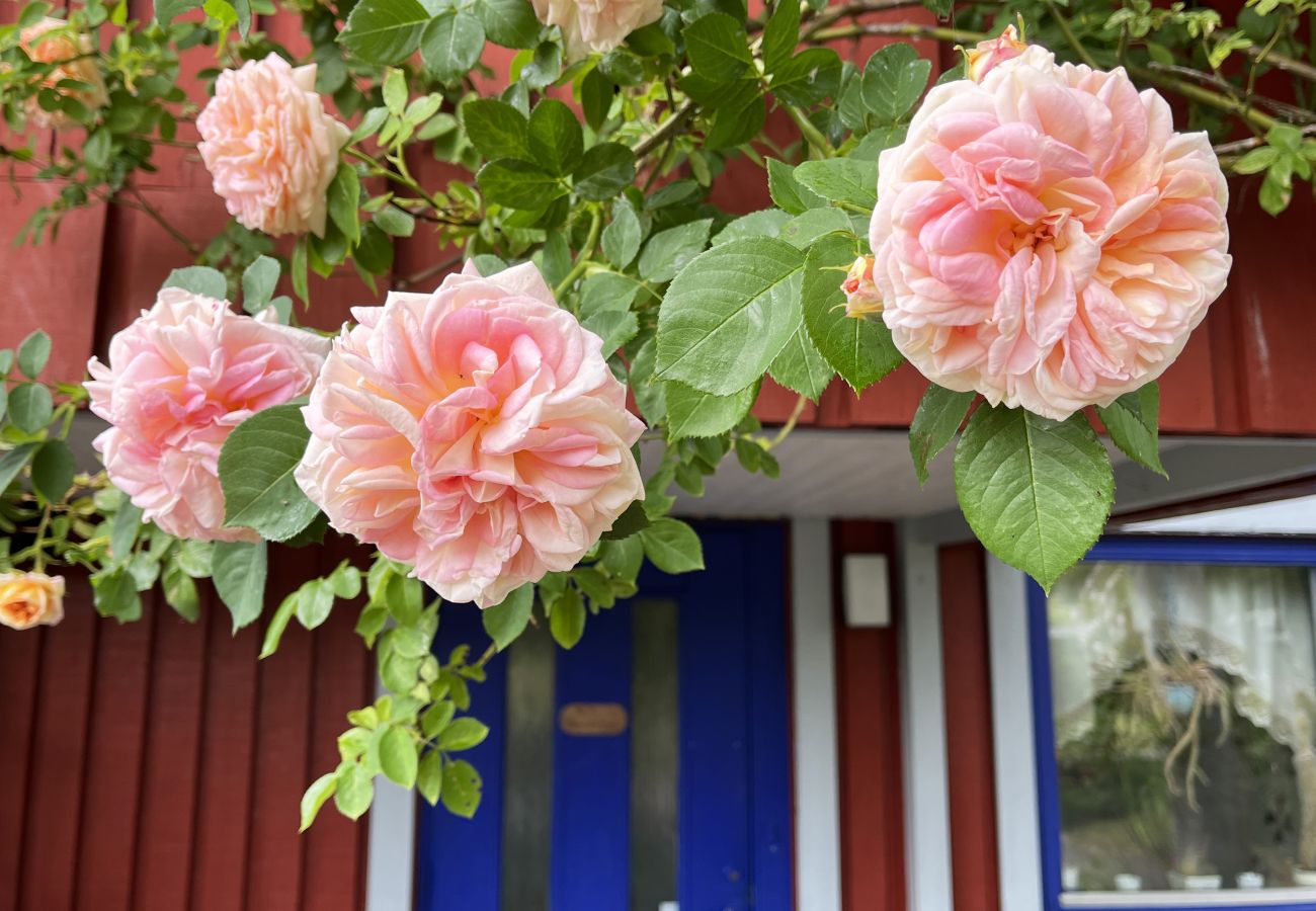 Ferienhaus in Färjestaden - Geräumiges Haus in Färjestaden auf Öland mit Sauna | SE04011