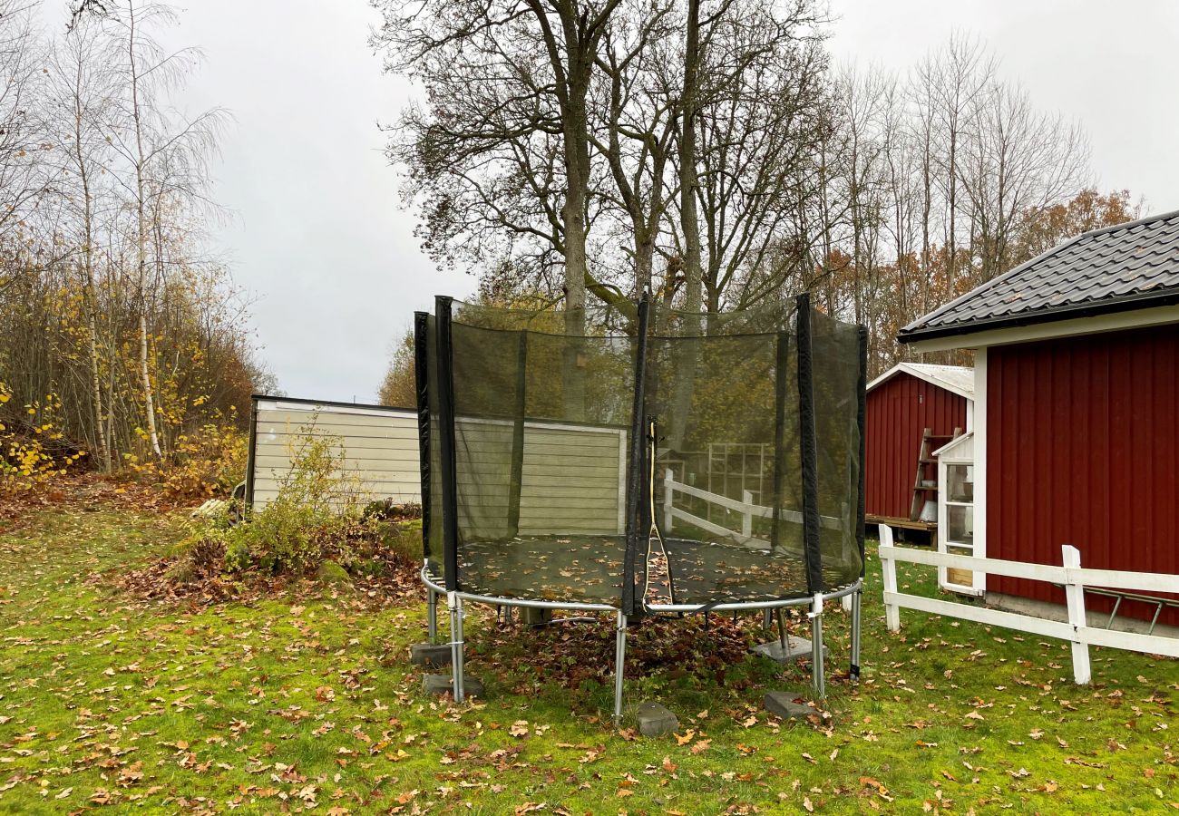 Ferienhaus in Lagan - Schönes Ferienhaus am See Flåren | SE06042