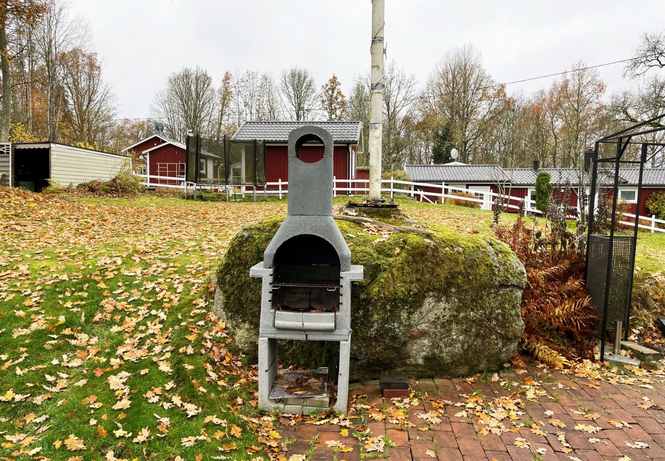 Ferienhaus in Lagan - Schönes Ferienhaus am See Flåren | SE06042