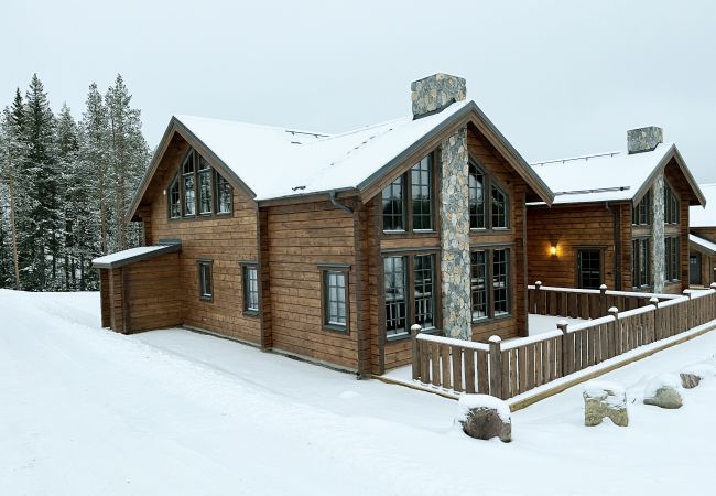  in Idre - Neu gebautes Ferienhaus in der Nähe von Skifahren und Golf in Idre, Dalarna | SE19015