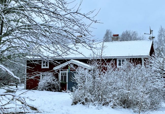 Ferienhaus in Ljungby - Schönes Ferienhaus in Bolmstad außerhalb von Ljungby | SE06050