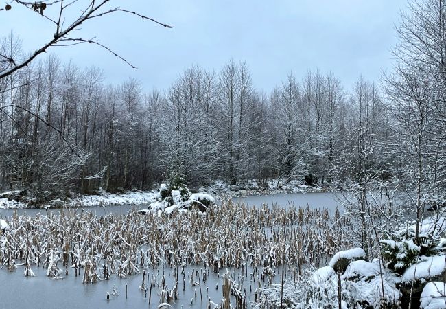 Ferienhaus in Ljungby - Schönes Ferienhaus in Bolmstad außerhalb von Ljungby | SE06050