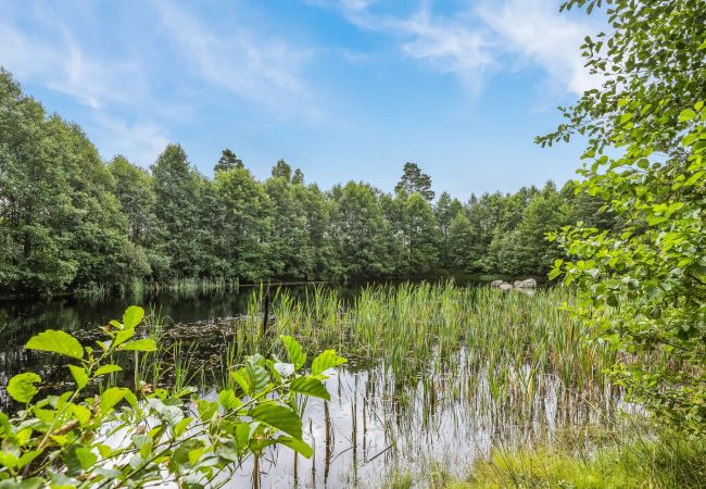 Ferienhaus in Ljungby - Schönes Ferienhaus in Bolmstad außerhalb von Ljungby | SE06050 Ferienhaus in Ljungby - Schönes Ferienhaus in Bolmstad außerhalb von Ljungby | SE06050