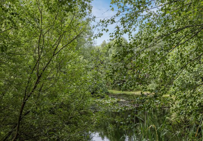 Ferienhaus in Ljungby - Schönes Ferienhaus in Bolmstad außerhalb von Ljungby | SE06050 Ferienhaus in Ljungby - Schönes Ferienhaus in Bolmstad außerhalb von Ljungby | SE06050