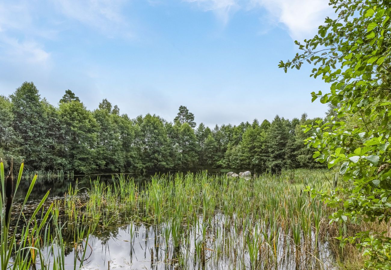 Ferienhaus in Ljungby - Schönes Ferienhaus in Bolmstad außerhalb von Ljungby | SE06050