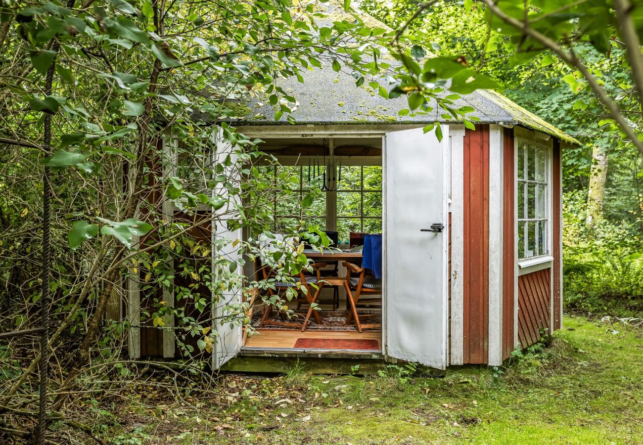 Ferienhaus in Ljungby - Schönes Ferienhaus in Bolmstad außerhalb von Ljungby | SE06050