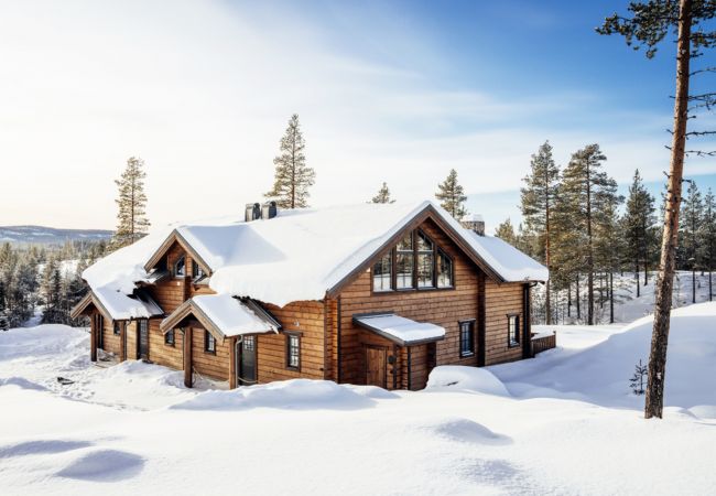  in Idre - Neu gebautes modernes Ferienhaus in der Nähe von Skifahren und Golf in Idre, Dalarna | SE19016