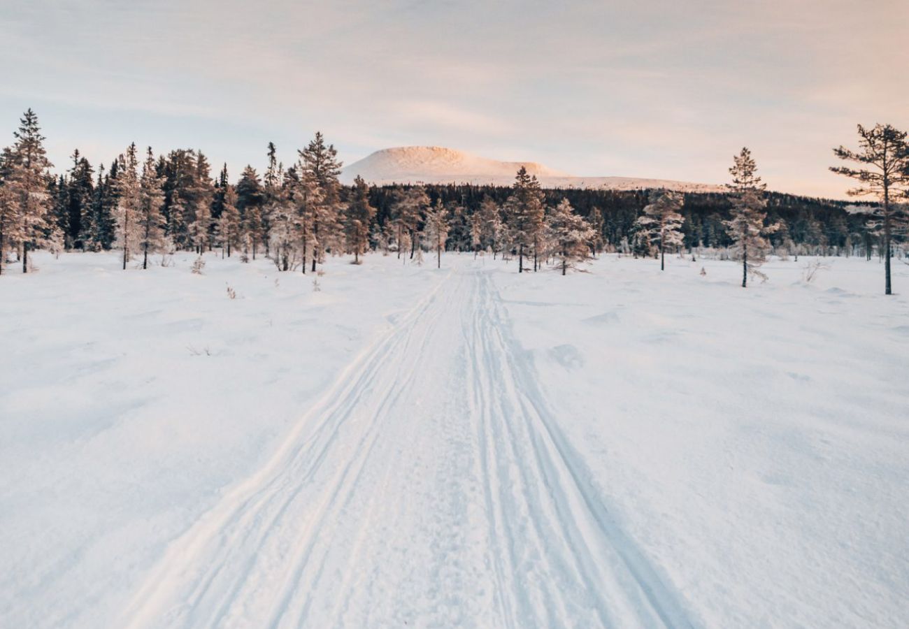 Ferienhaus in Idre - Neu gebautes modernes Ferienhaus in der Nähe von Skifahren und Golf in Idre, Dalarna | SE19016