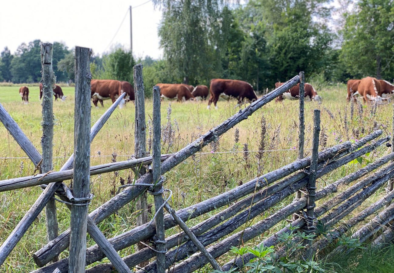 Ferienhaus in Urshult - Ferienhaus mit eigenem Seegrundstück bei Mien | SE06045