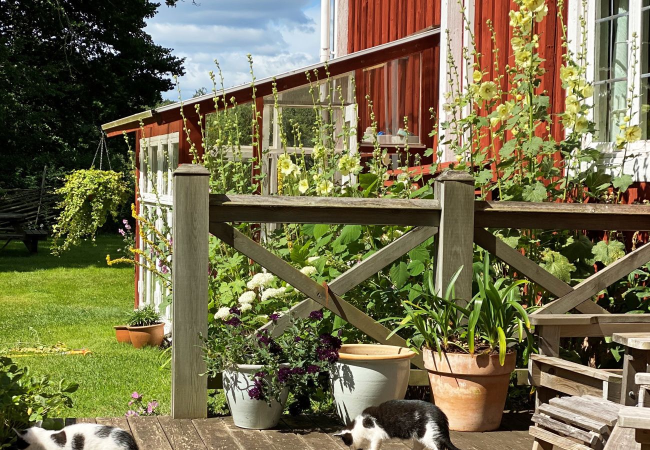 Ferienhaus in Urshult - Ferienhaus mit eigenem Seegrundstück bei Mien | SE06045