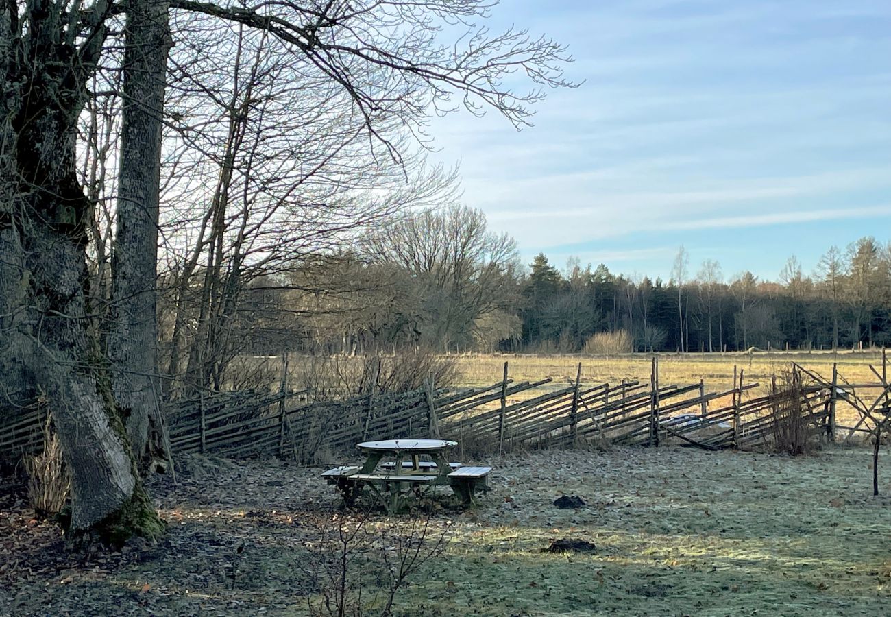 Ferienhaus in Urshult - Ferienhaus mit eigenem Seegrundstück bei Mien | SE06045