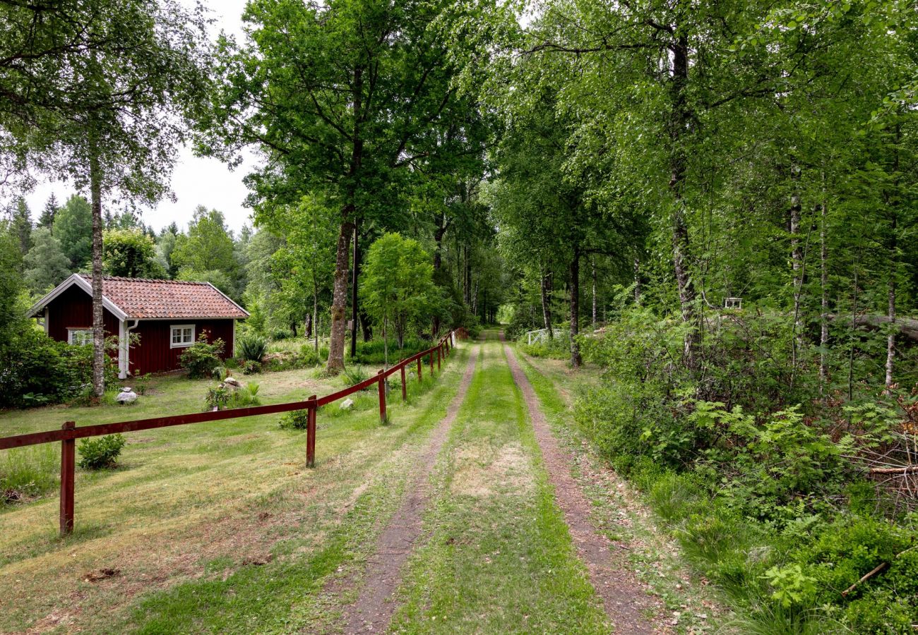 Ferienhaus in Bor - Gemütliches Ferienhaus mit einzigartigem Garten ausserhalb vom Värnamo | SE07039