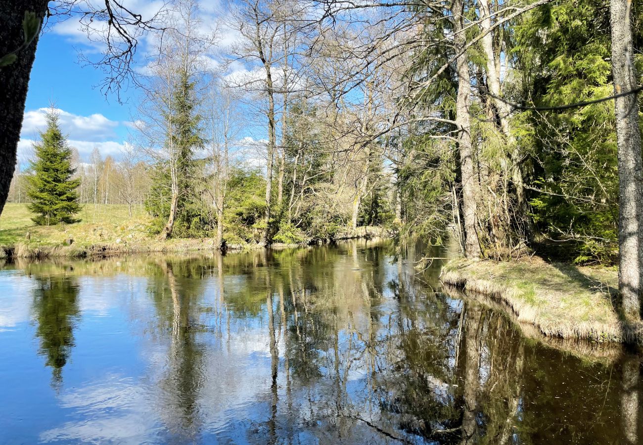 Ferienhaus in Lagan - Ferienhaus mit Alleinlage außerhalb von Lagan | SE06054