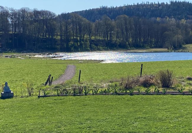 Ferienhaus in Varnhem - Malerische Unterkunft in gut ausgestatteter Villa mit Seeblick | SE08047