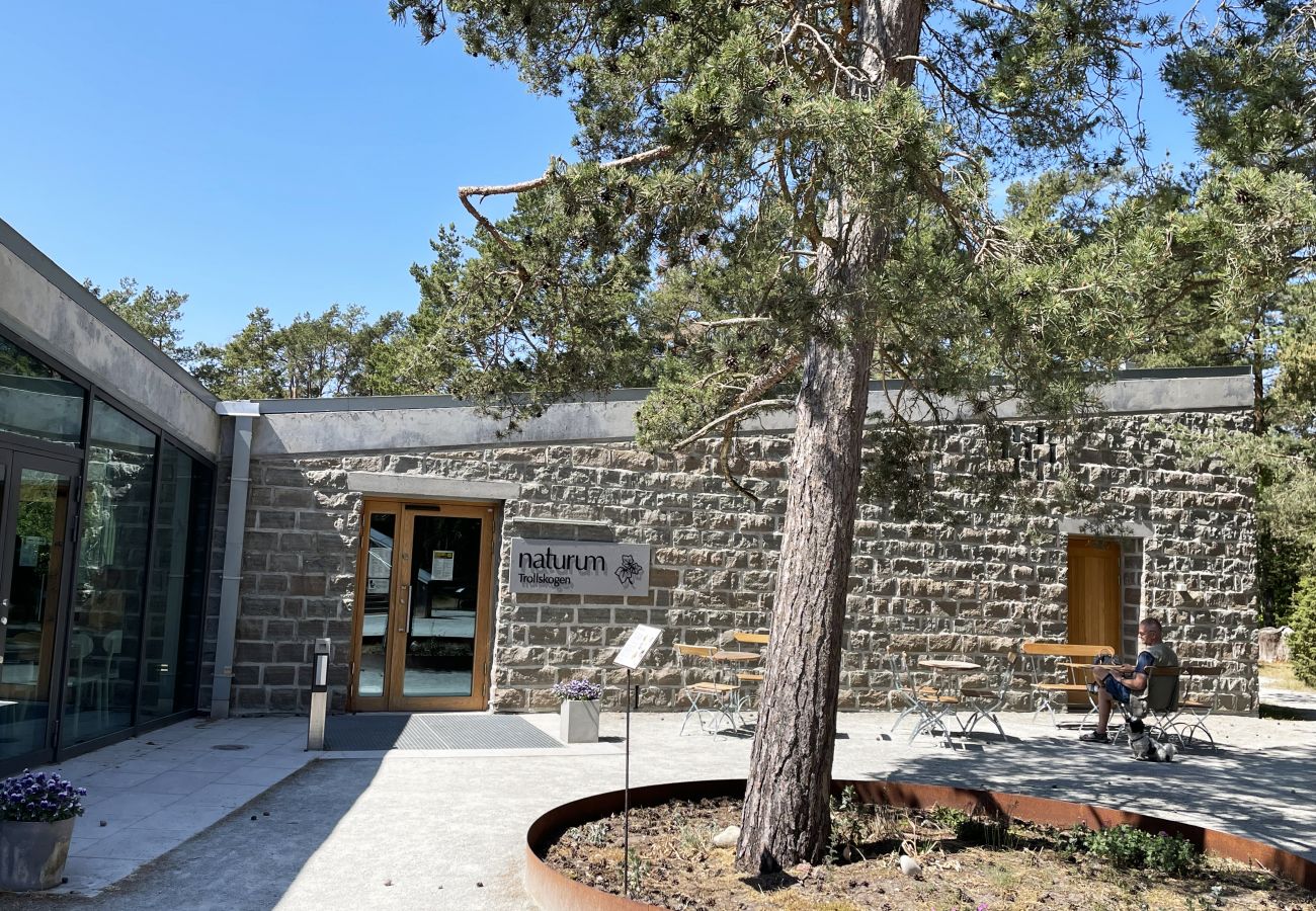 Ferienhaus in Byxelkrok - Schönes Ferienhaus im Norden von Öland neben Byxelkrok | SE04024