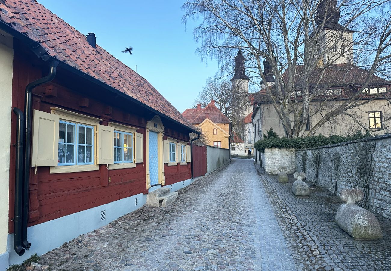 Ferienhaus in Slite - Schönes Ferienhaus in der Nähe von Åminne auf Ostgotland | SE12016