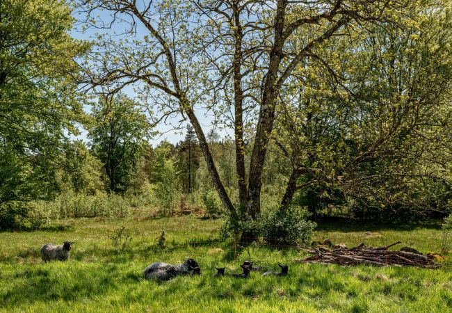 Ferienwohnung in Laholm - Kockabygget: Schöne Wohnung in ländlicher Idylle bei Hallandsåsen, Laholm | SE02057 Ferienwohnung in Laholm - Kockabygget: Schöne Wohnung in ländlicher Idylle bei Hallandsåsen, Laholm | SE02057