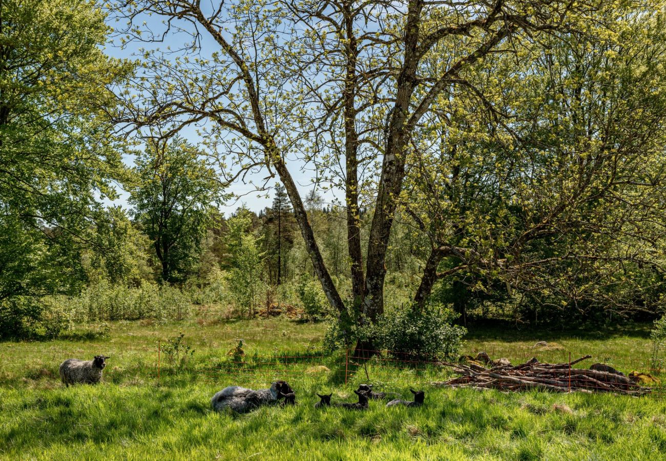 Ferienwohnung in Laholm - Kockabygget: Schöne Wohnung in ländlicher Idylle bei Hallandsåsen, Laholm | SE02057