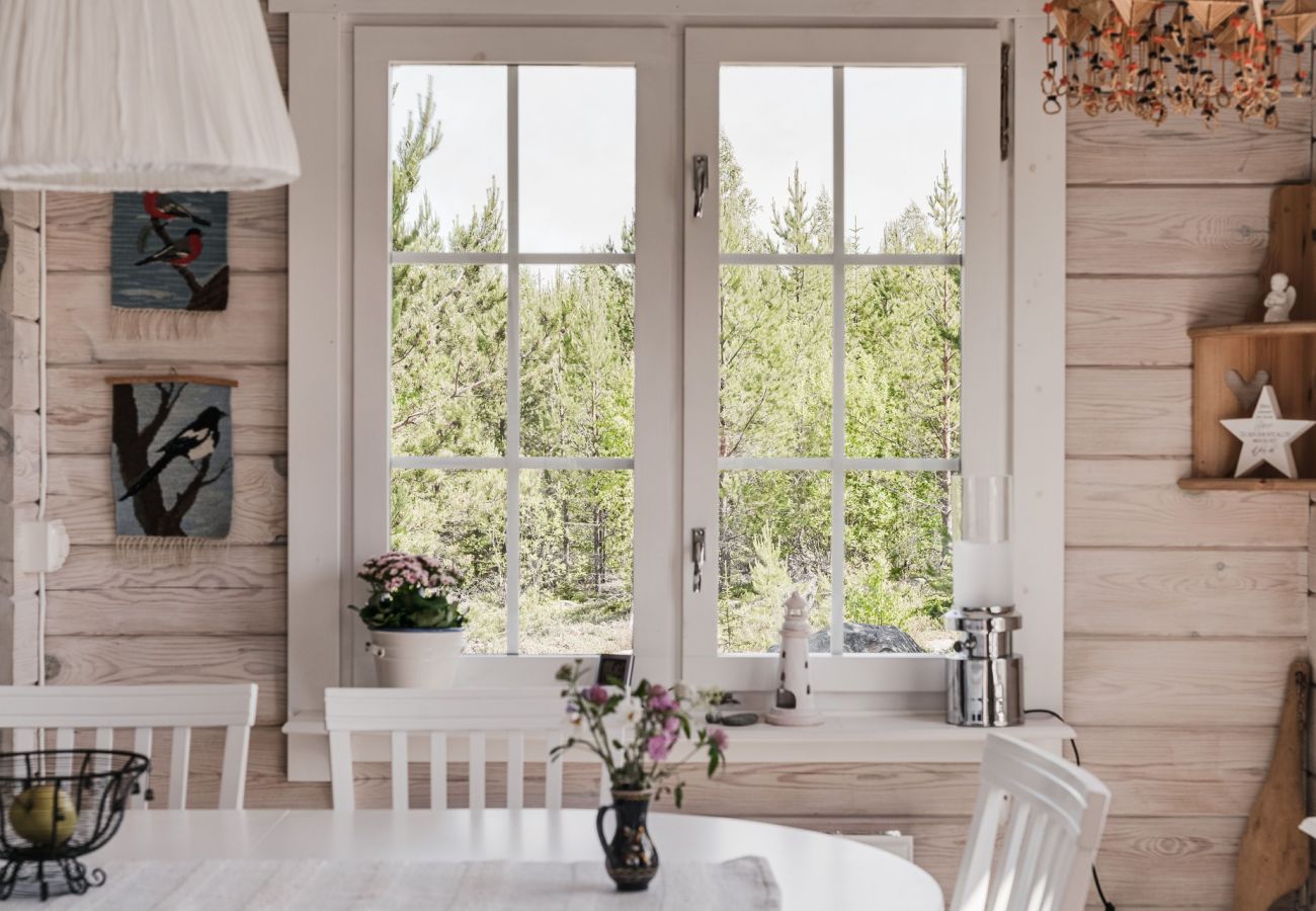 Ferienhaus in Axmar - Ferienhaus am Meer in Axmar nördlich von Gävle | SE20003