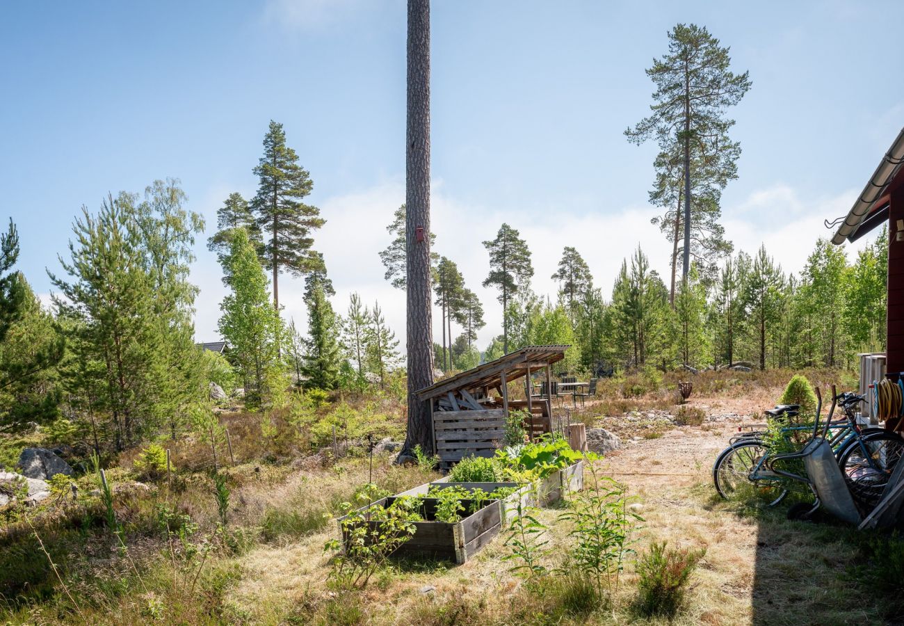Ferienhaus in Axmar - Ferienhaus am Meer in Axmar nördlich von Gävle | SE20003