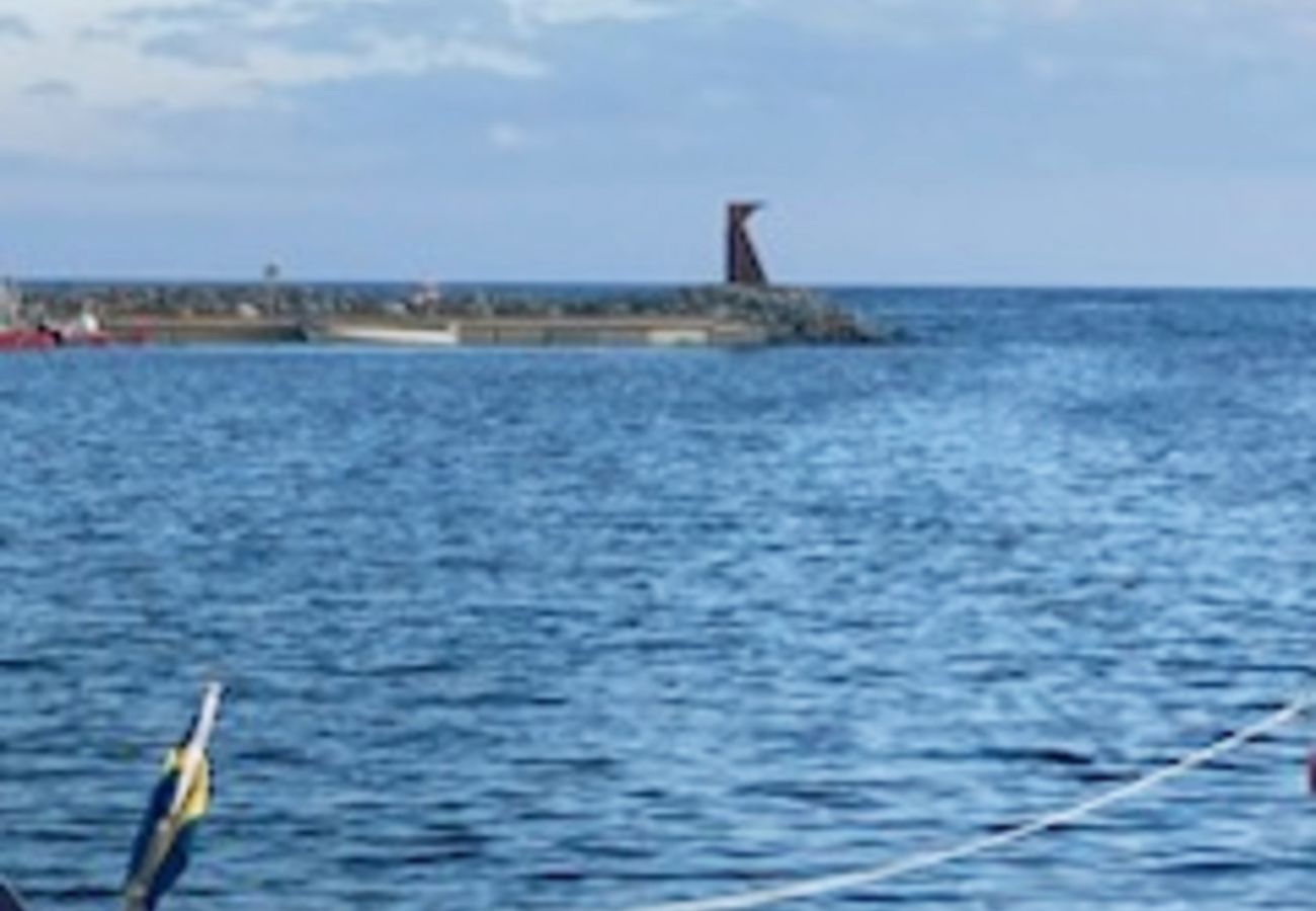 Studio in Täfteå - Angelschuppen mit direkter Verbindung zum Meer | SE23003