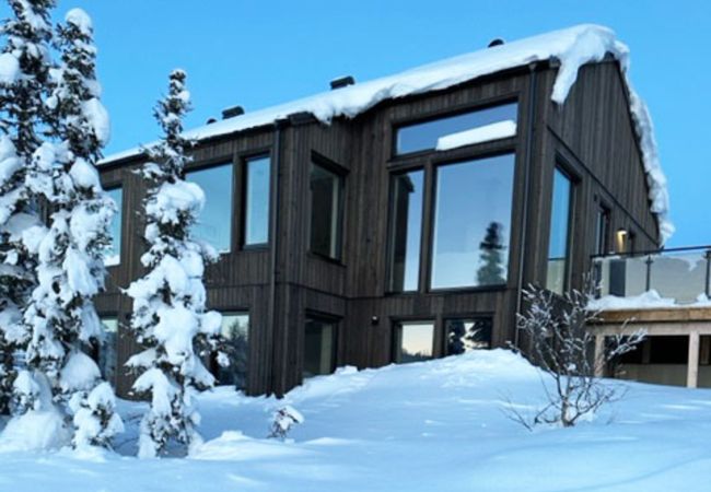 Ferienhaus in Vemdalen - Winterhaus in Vemdalen, in der Nähe von Skigebieten | SE21003