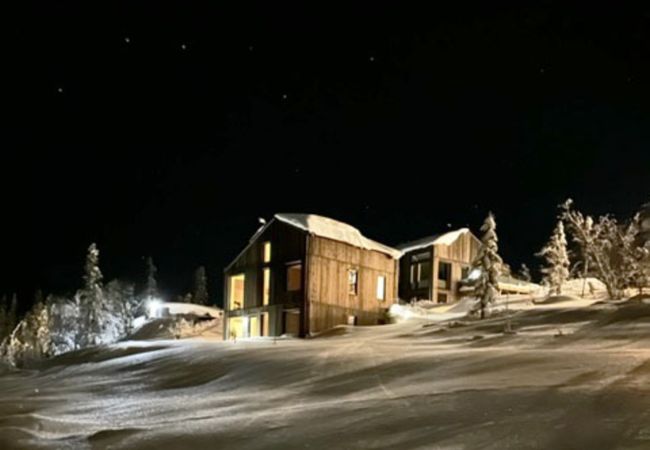 Ferienhaus in Vemdalen - Winterhaus in Vemdalen, in der Nähe von Skigebieten | SE21003