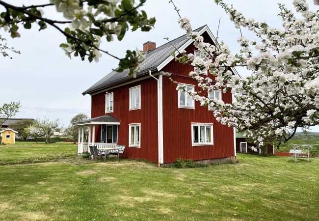  in Gullringen - Gemütliches rotes Ferienhaus auf dem Land außerhalb von Vimmerby I SE05038