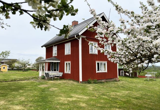 Ferienhaus in Gullringen - Gemütliches rotes Ferienhaus auf dem Land außerhalb von Vimmerby I SE05038