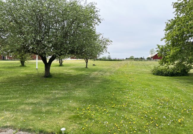 Ferienhaus in Gullringen - Gemütliches rotes Ferienhaus auf dem Land außerhalb von Vimmerby I SE05038