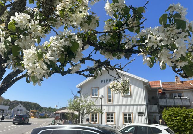 Ferienhaus in Hamburgsund - Schöne Doppelhaushälfte auf Hamburgerö in einer einzigartigen Umgebung | SE09037