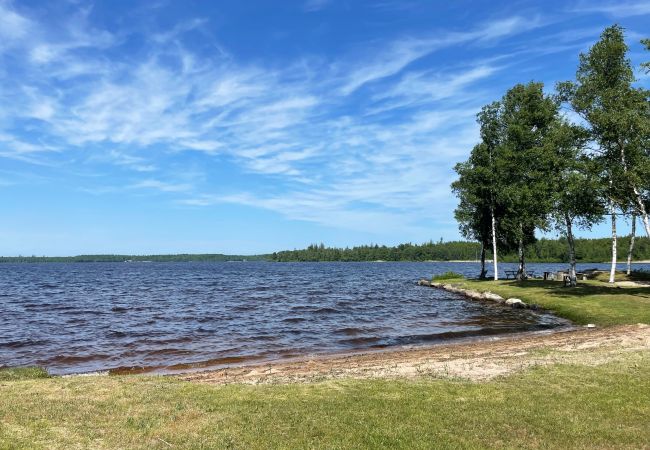 Ferienhaus in Ljungby - Schönes Ferienhaus in ungestörter Lage am Bolmen, Ljungby | SE06060