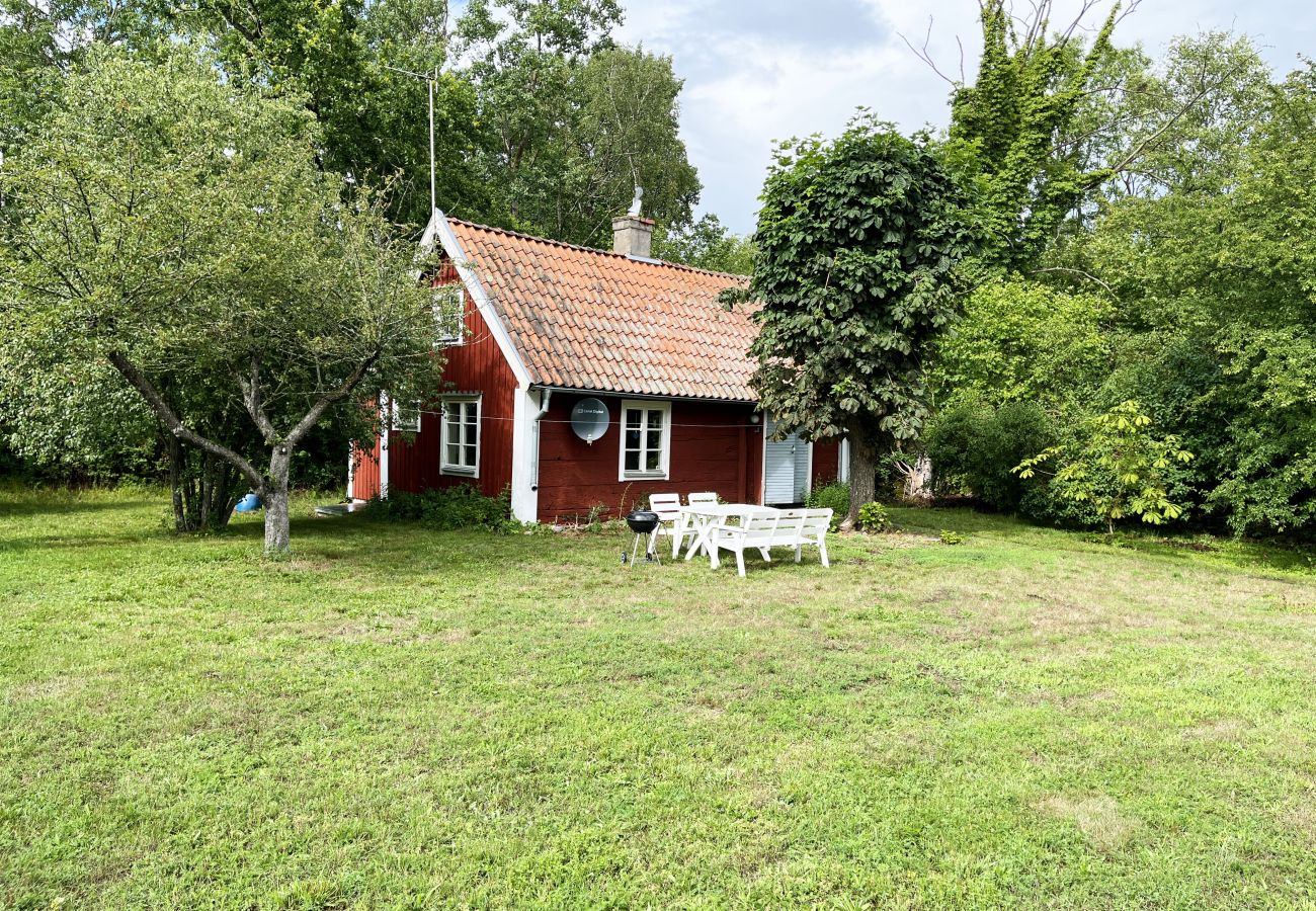 Ferienhaus in Borgholm - Rotes kleines Häuschen auf Öland, umgeben von grasenden Schafen I SE04032