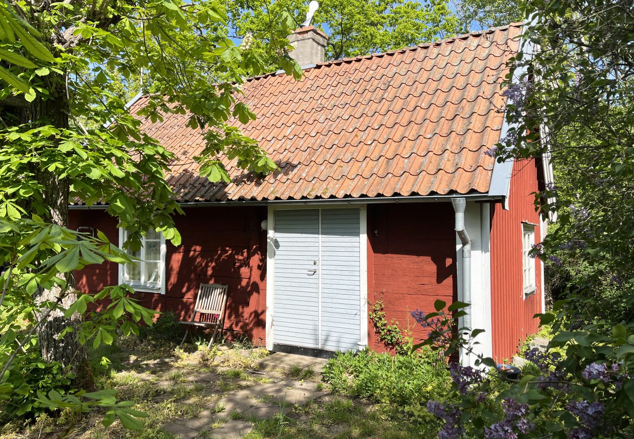 Ferienhaus in Borgholm - Rotes kleines Häuschen auf Öland, umgeben von grasenden Schafen I SE04032